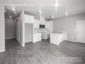 1409 Shavano Dr in Edinburg, TX - Building Photo - Building Photo