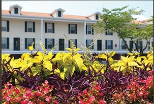 Signal View Apartments & Condos in Chattanooga, TN - Building Photo