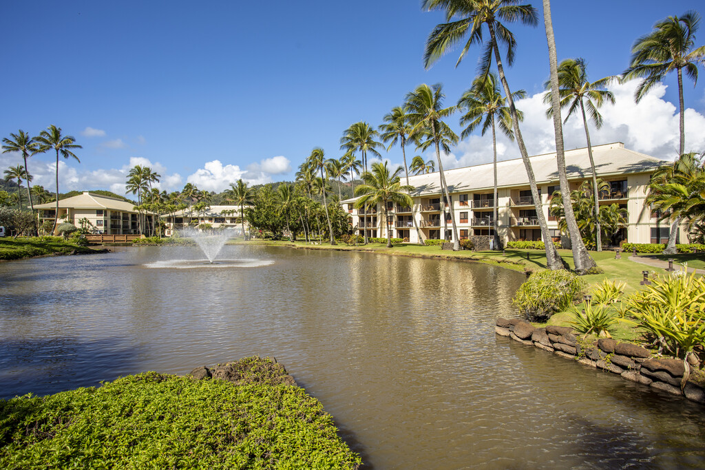 Kauai Apts For Rent