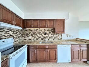 1004 S River Rd in Des Plaines, IL - Building Photo - Building Photo