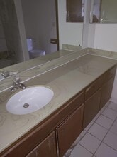 Nicollet Manor in Minneapolis, MN - Building Photo - Building Photo