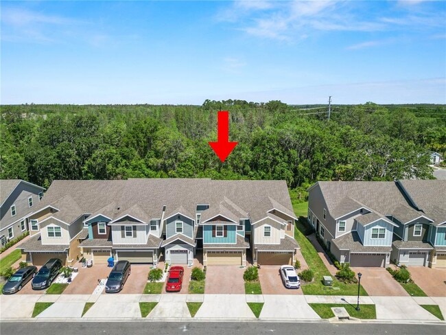 34187 Cinder Wy in Wesley Chapel, FL - Building Photo - Building Photo