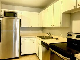 2020 N Lincoln Park W in Chicago, IL - Building Photo