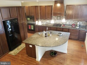 23267 April Mist Pl in Ashburn, VA - Building Photo - Building Photo