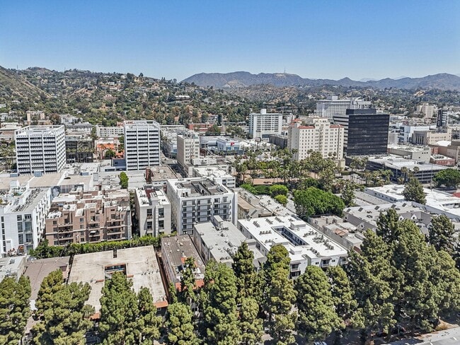 7057 Lanewood Ave in Los Angeles, CA - Foto de edificio - Building Photo