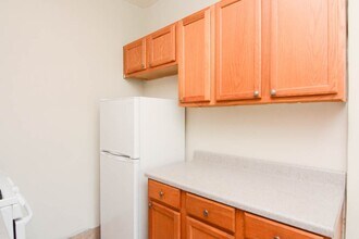 4854 N Damen Ave in Chicago, IL - Building Photo - Building Photo
