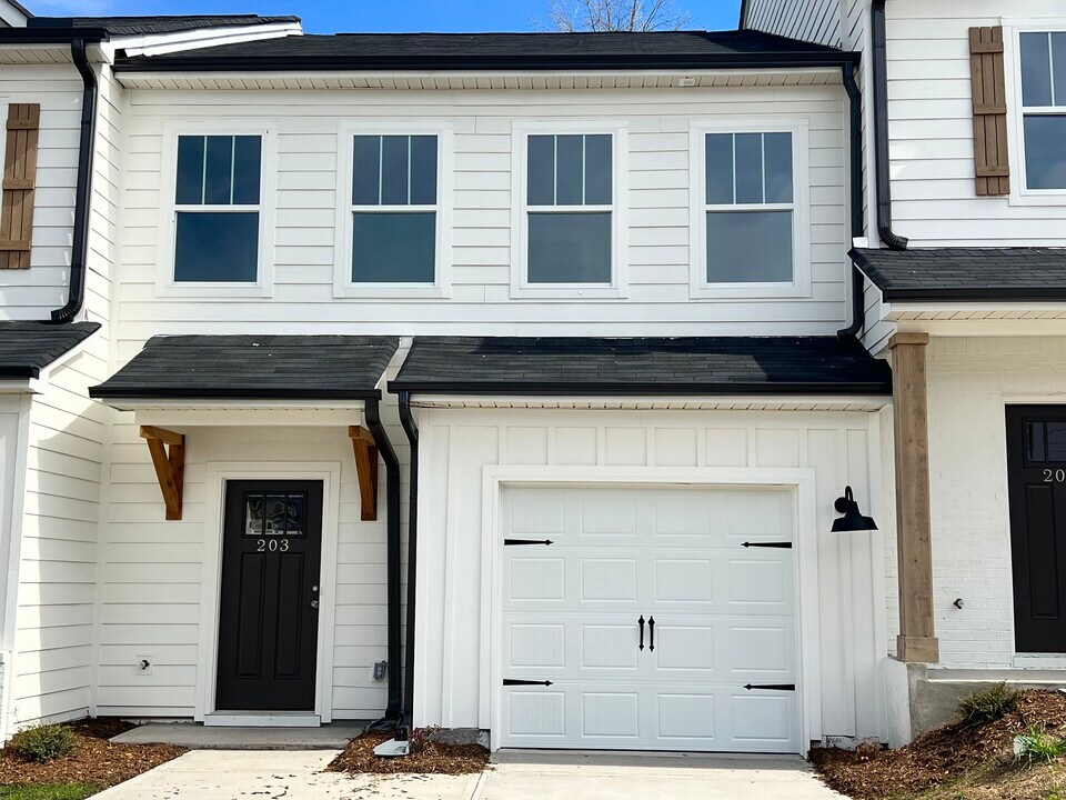 203 Broad Banyan Ct in Greer, SC - Building Photo