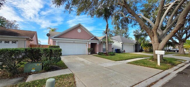 11143 Bramblebrush St in Tampa, FL - Building Photo - Building Photo