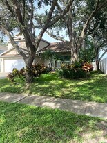 2908 Shannon Cir in Palm Harbor, FL - Building Photo