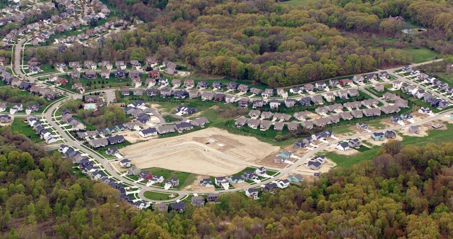 Lowing Woods Community in Georgetown Township, MI - Building Photo - Building Photo