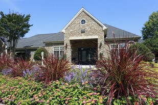 Merritt at Sugarloaf in Duluth, GA - Building Photo