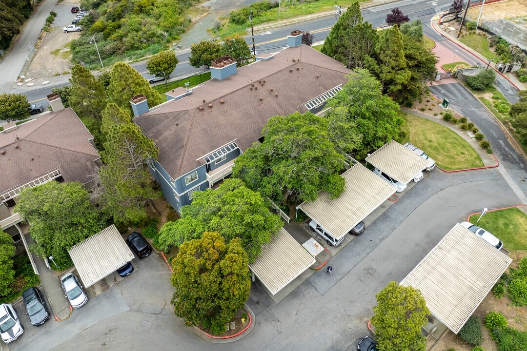 Saddleback in Daly City, CA - Building Photo