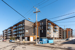 50 Fortier St Apartments