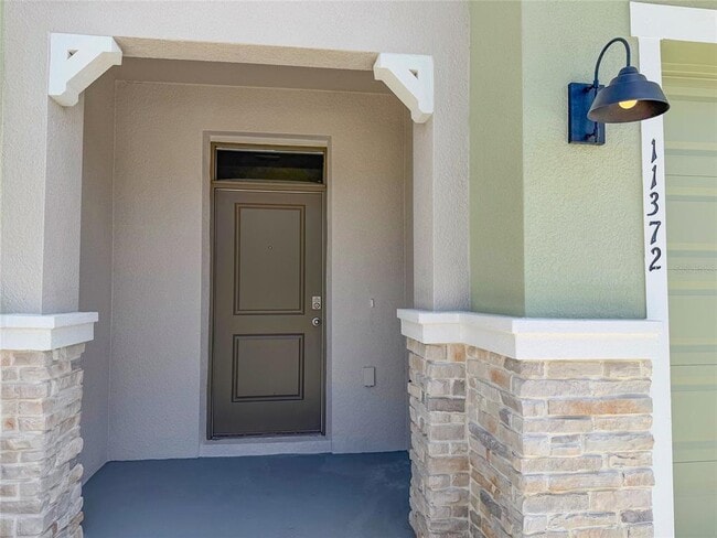 11372 Velvet Apricot Dr in Land O Lakes, FL - Building Photo - Building Photo