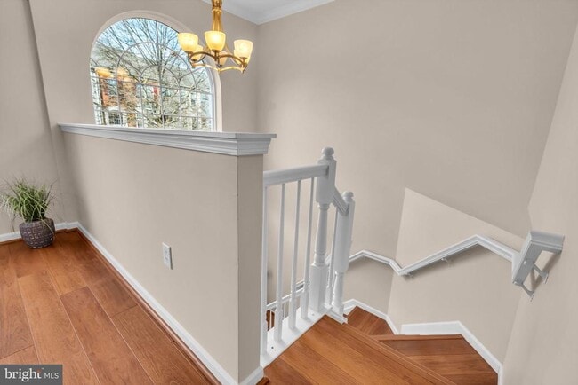 21644 Frame Square in Broadlands, VA - Building Photo - Building Photo