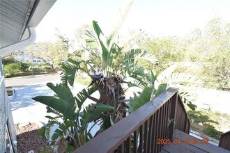 1254 Grove St in Clearwater, FL - Building Photo - Building Photo