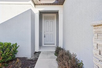 14180 Samoa Hill Ct in Riverview, FL - Building Photo - Building Photo