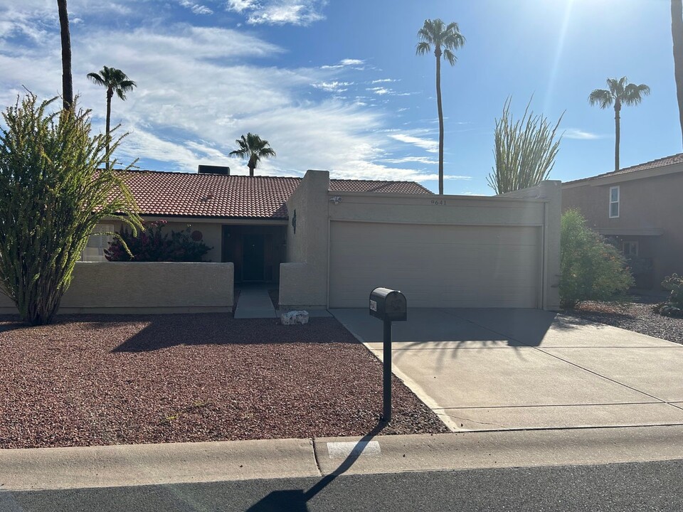 9641 E Palomino Pl in Sun Lakes, AZ - Building Photo