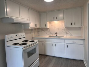 2516 Ivy St in Houston, TX - Foto de edificio - Building Photo