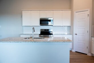 247 Schrader Dr in Buda, TX - Building Photo - Building Photo