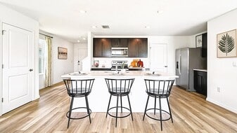 4154 Antigua Wy in Spring Hill, FL - Building Photo