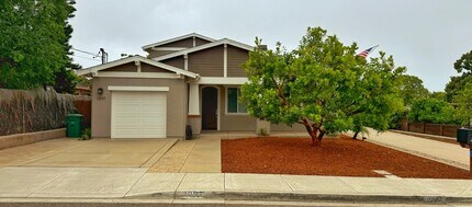 1097 Buena Vista Way in Carlsbad, CA - Building Photo - Building Photo