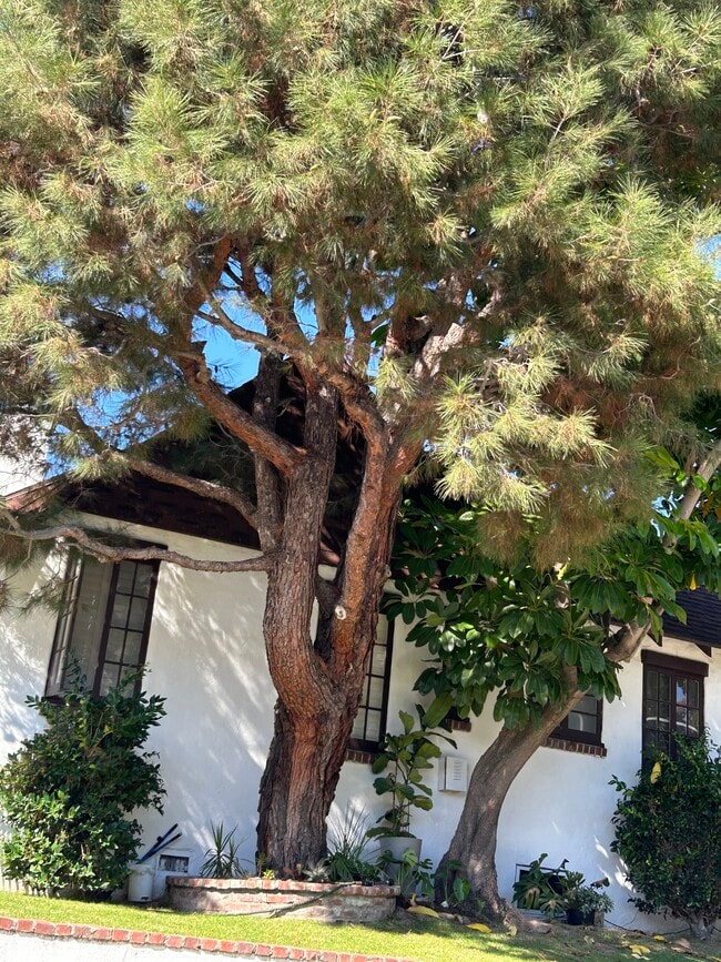 10343 Dunkirk Ave, Unit ENGLISH COTTAGE in Los Angeles, CA - Building Photo - Building Photo