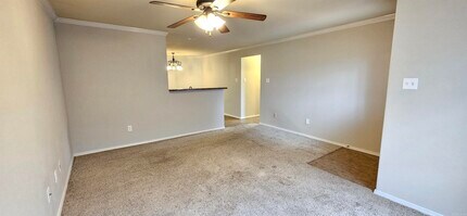 14815 Parkway Meadows Dr in Alexander, AR - Building Photo - Building Photo