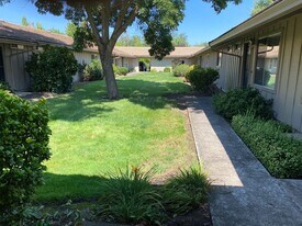 300 Shafer Ln in Jacksonville, OR - Building Photo