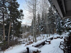 3897 Lupine Dr in Vail, CO - Building Photo - Building Photo