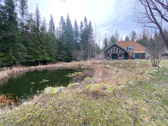 347 Homestead Loop in Sandpoint, ID - Building Photo - Building Photo