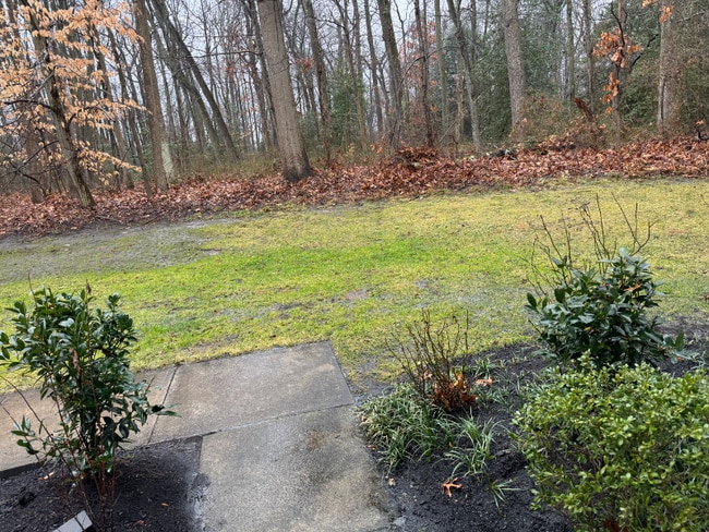 703 Quail Rd in Evesham, NJ - Building Photo - Building Photo