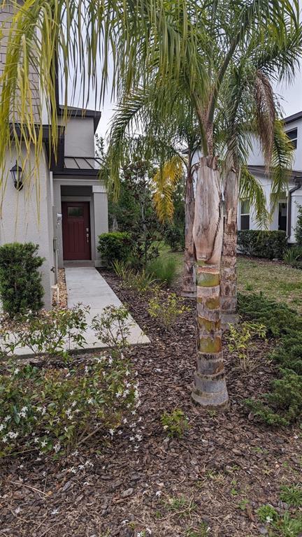 1384 White Fox Run in Lutz, FL - Building Photo - Building Photo