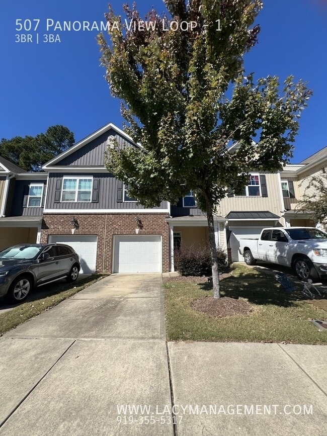 property at 507 Panorama View Loop