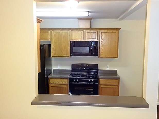 351 Bailey Loop in Kyle, TX - Building Photo - Building Photo