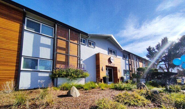 Brio Apartments photo'