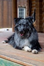 3251 Bayvue Blvd in Arnold, MO - Building Photo - Building Photo