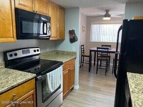 344 Beach Park Ln in Cape Canaveral, FL - Building Photo - Building Photo