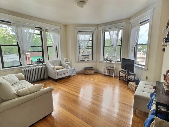 398 Harvard St in Brookline, MA - Building Photo - Building Photo