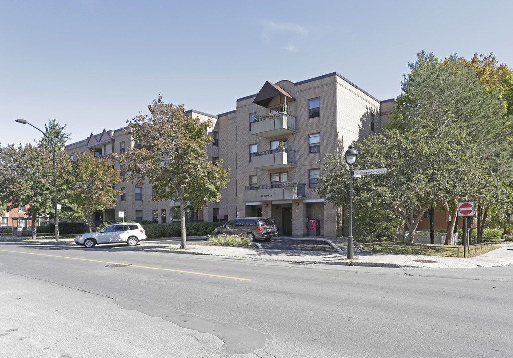 3350 E Sainte-Catherine E in Montréal, QC - Building Photo