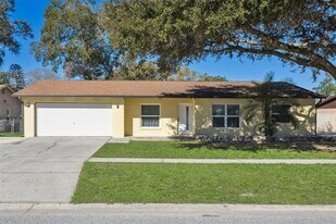 1255 Foggy Ridge Pkwy in Lutz, FL - Building Photo