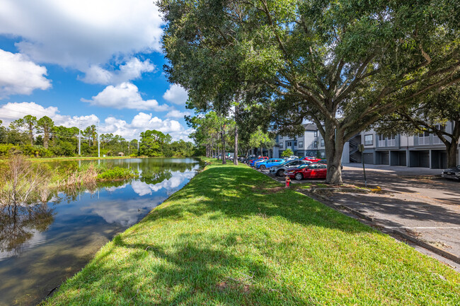 12942 Sanctuary Cove Dr in Temple Terrace, FL - Building Photo - Building Photo