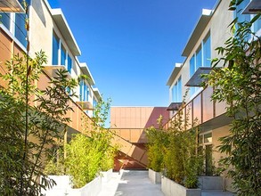 Olive Street Lofts in Santa Barbara, CA - Building Photo - Building Photo