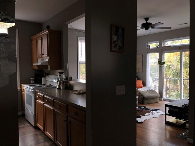 187 Coming St in Charleston, SC - Building Photo - Building Photo