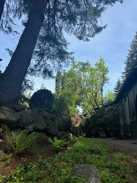 Harborwood West Apartments in Gig Harbor, WA - Building Photo