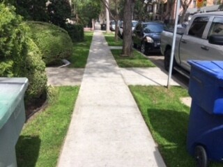 1109-1115 N Vista St in West Hollywood, CA - Building Photo - Building Photo