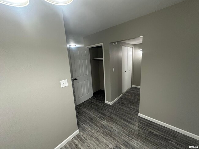 2915 W Cannes Dr in Peoria, IL - Building Photo - Building Photo