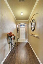 11701 Summer Springs Dr in Frisco, TX - Building Photo - Building Photo