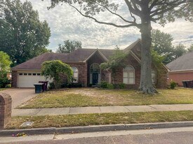 1056 Cotton Row Cove in Collierville, TN - Building Photo
