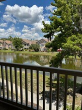 17975 Villa Creek Dr in Tampa, FL - Building Photo - Building Photo
